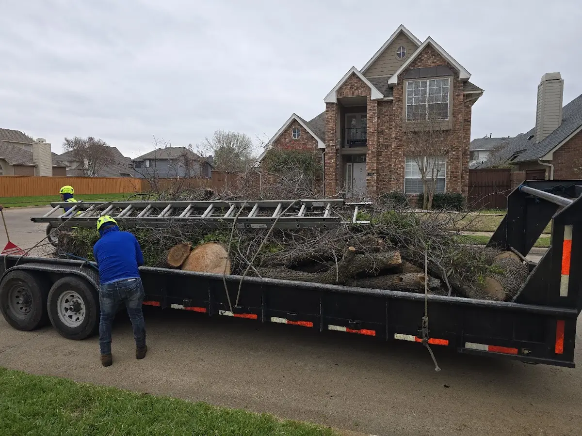 Expert Tree Removal with proper safety equipment in Lake Junaluska